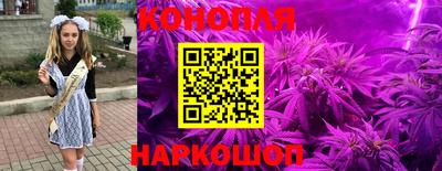 скорость Будённовск