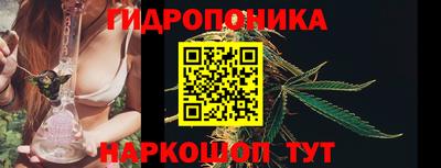 скорость Будённовск