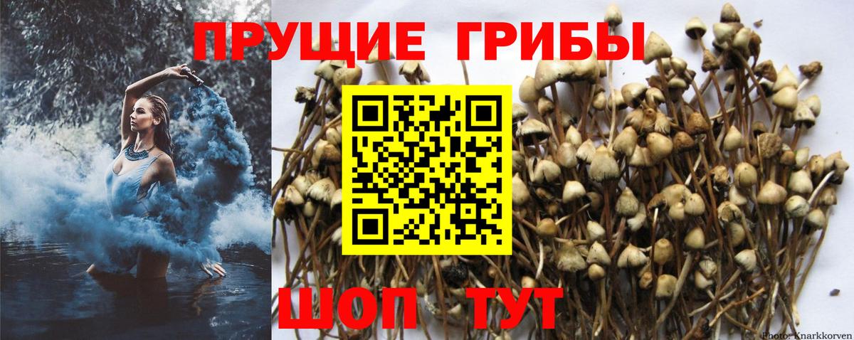 Галлюциногенные грибы ЛСД  Вход с VPN  Мариинск 